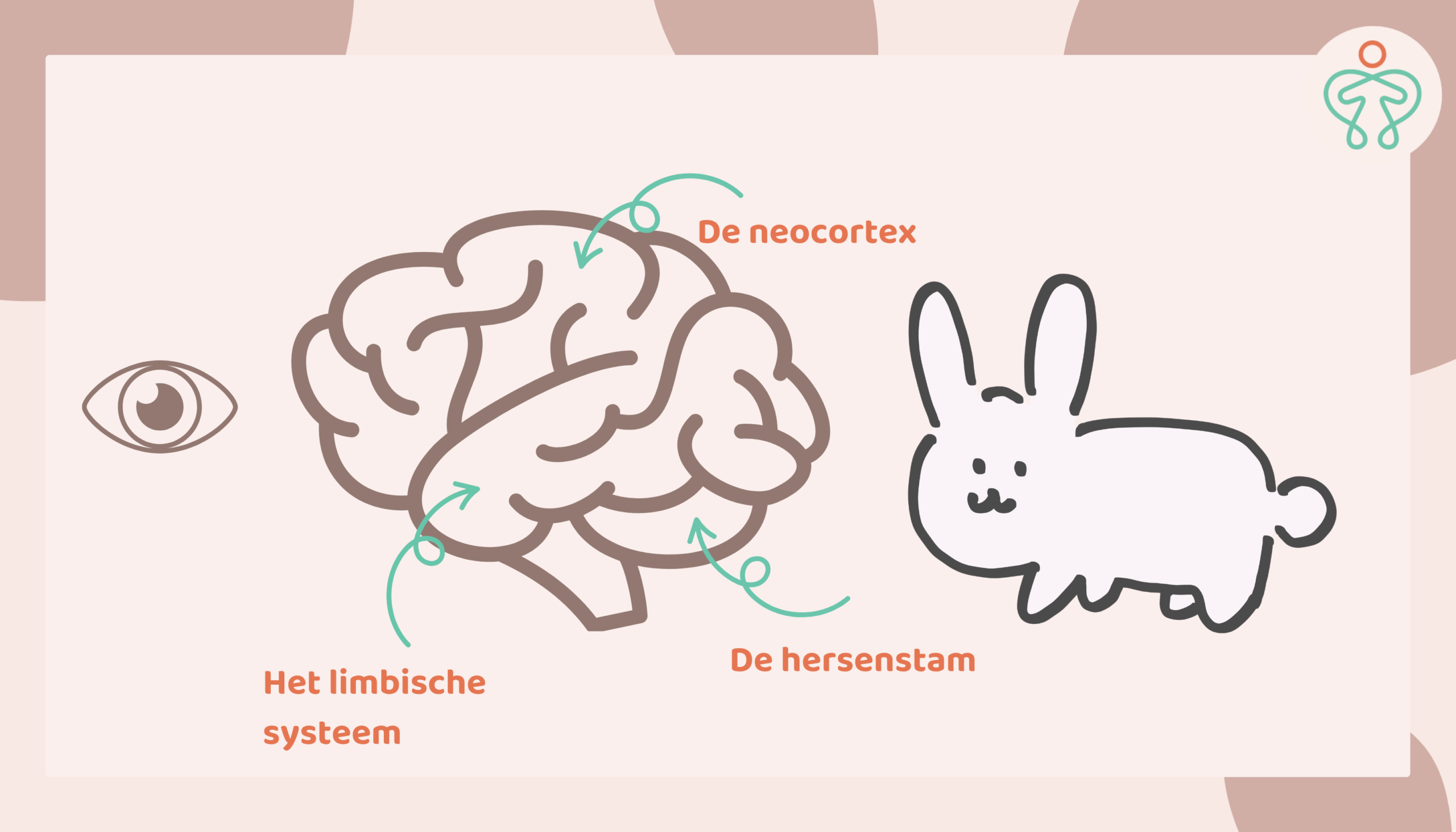 Beestje-je-bent-je-eigen-huisdier-leer-je-brein-naar-je-lijf-luisteren-lichaamsvragen