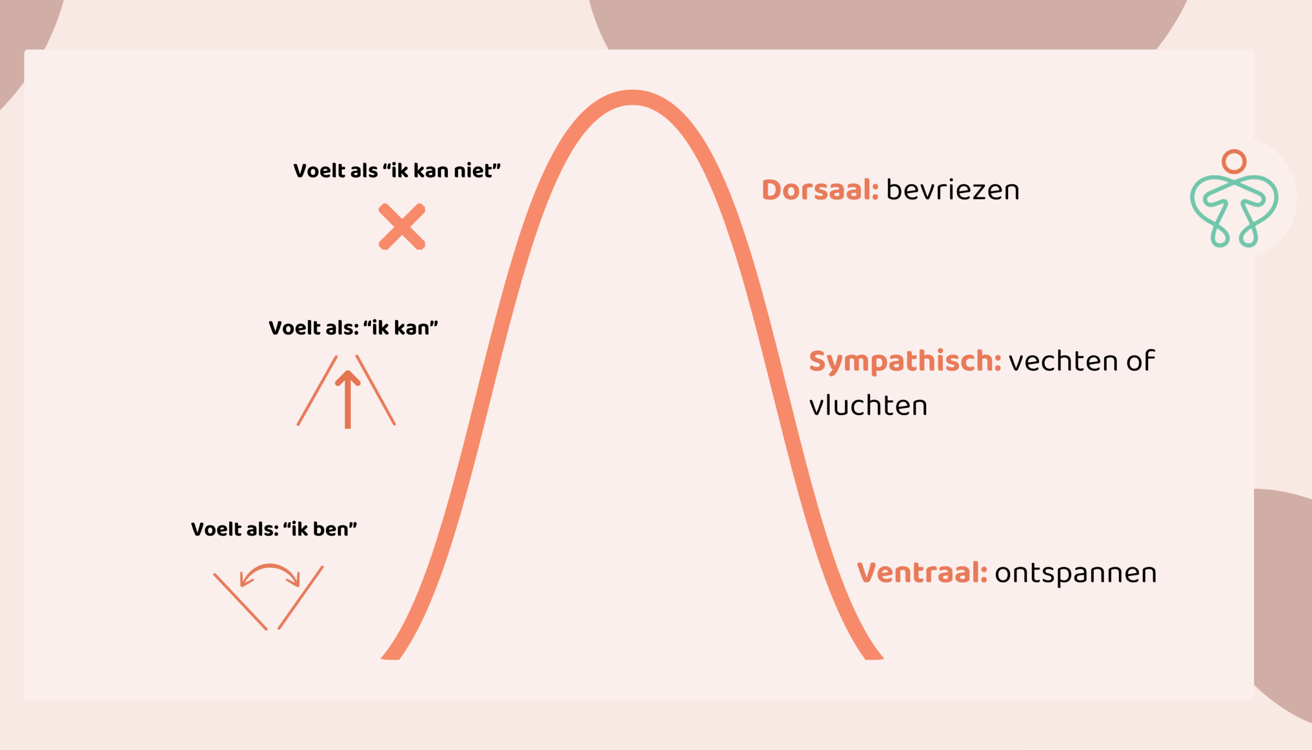 De polyvagaaltheorie als kapstok bij Lichaamsvragen
